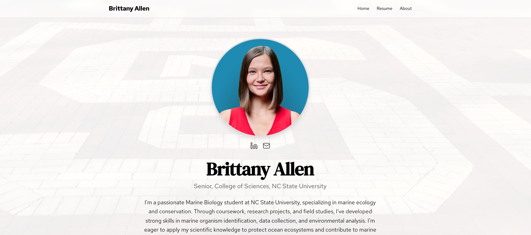 Professional resume website example - Brittany Allen