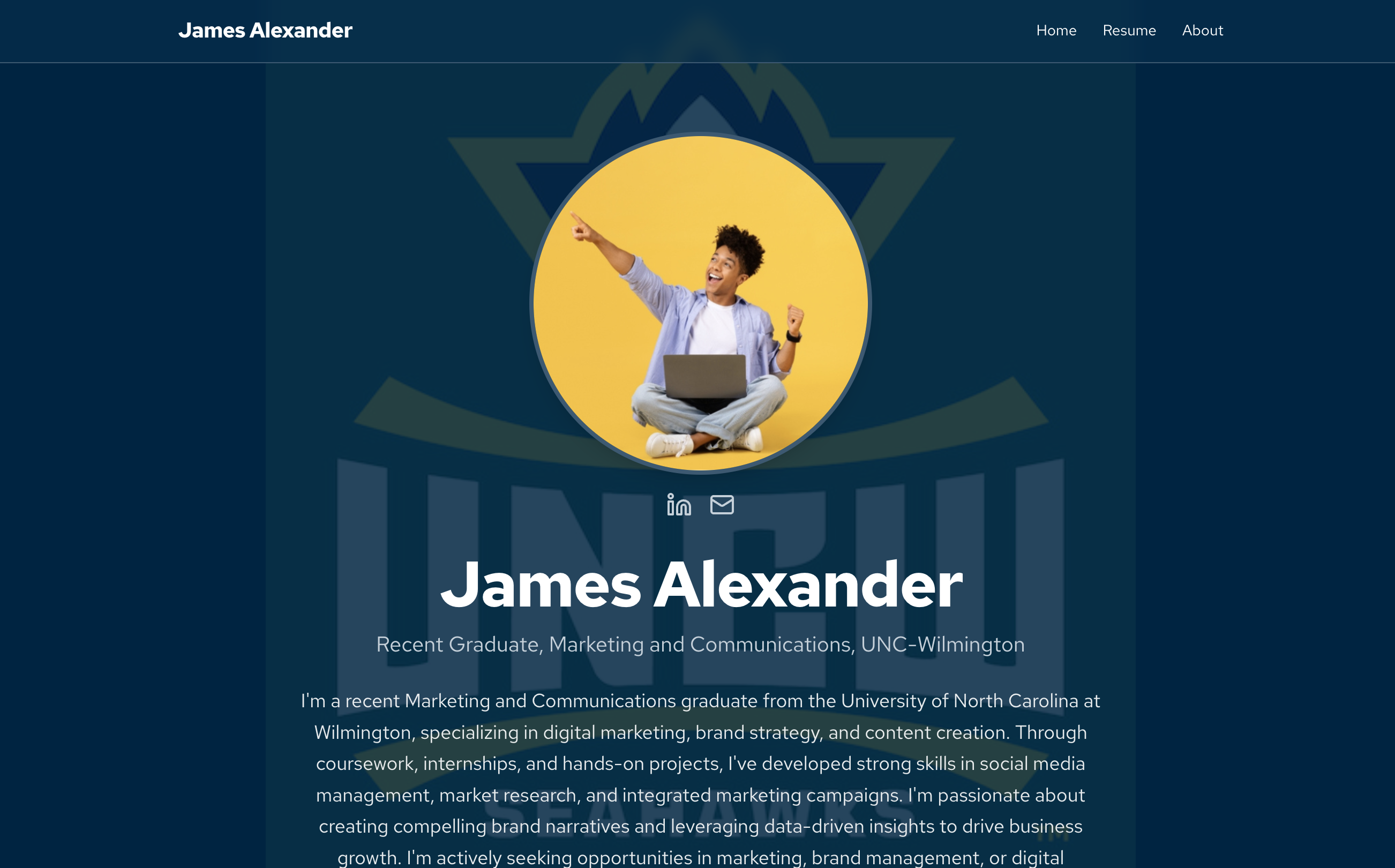 Professional resume website example